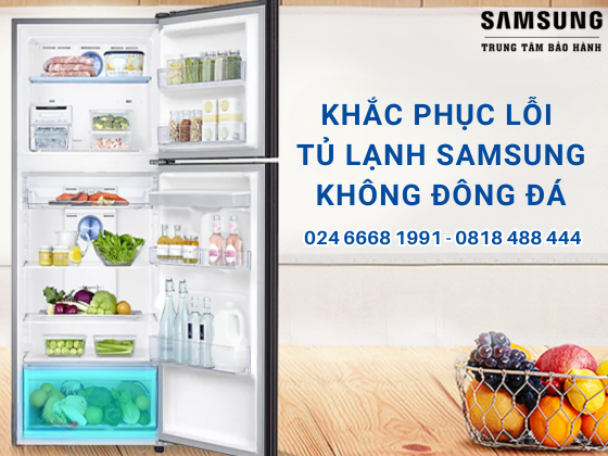tu lanh samsung khong dong da